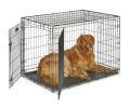 MidWest Homes For Pets Double Door iCrate Metal Dog Crate