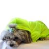 The Ultimate Waterproof Thunder-Paw Adjustable Zippered Folding Travel Dog Raincoat