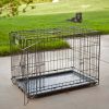 MidWest Homes For Pets Double Door iCrate Metal Dog Crate