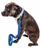 Pet Life 'Aero Mesh' Dual Sided Comfortable And Breathable Adjustable Mesh Dog Leash