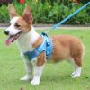 Reflective Pet Harness And Leash Set For Dog & Cat; No Pull Dog Vest Harness With Breathable Mesh