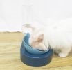 Portable Pet Bowl and Automatic Water Feeder Set, 2 in 1 Food Bowl Dish with Water Dispenser Bottle Tilted